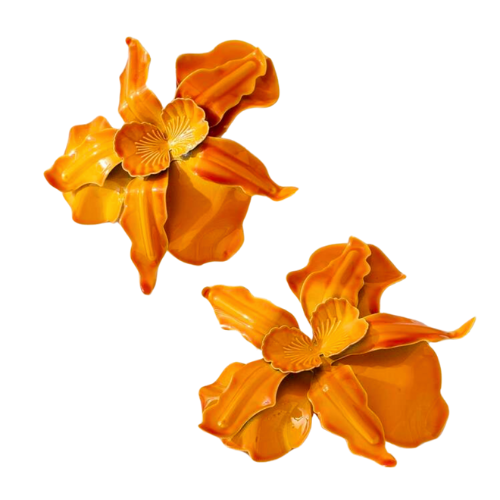 Conceited (Orange)
