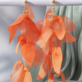 Scarlet Bloom (Coral Orange)